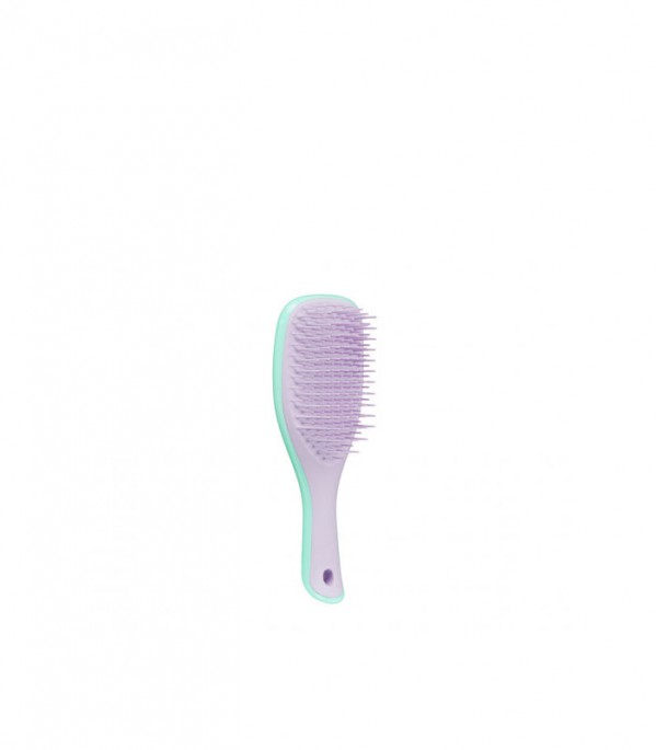 Tangle Teezer Escova Cabelo Wet Mini Verde/Lilás