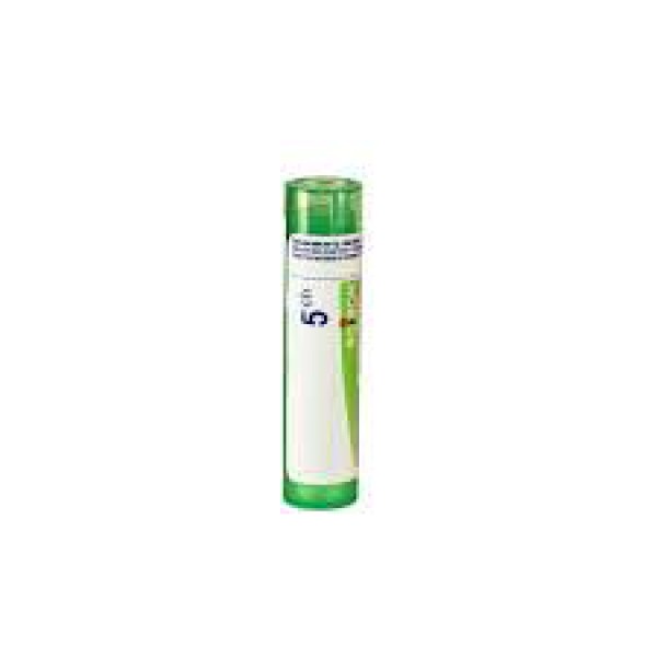 Arsenicum Album Gránulo 5ch Boiron