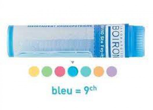 Carbo Vegetabilis Grânulo 9CH Boiron